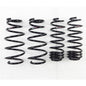 RS-R 09-13 Honda Fit (GE8) Down Sus Springs