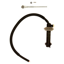 Load image into Gallery viewer, Photo - Primary