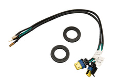 Load image into Gallery viewer, Photo - Close Up