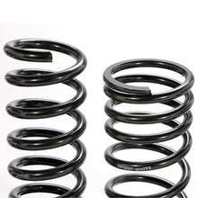 Load image into Gallery viewer, Mustang V8 Lowering Coil Springs 79-04