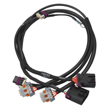 Load image into Gallery viewer, Edelbrock Chevy LS 24x Crank/Cam Pro-Flo 4+ EFI Ignition &amp; Engine Position Harness