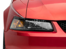 Load image into Gallery viewer, Photo - Close Up