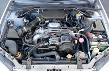 Load image into Gallery viewer, Photo - Primary