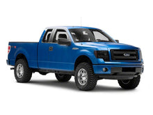 Load image into Gallery viewer, Photo - Close Up