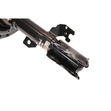 Load image into Gallery viewer, Photo - out of package