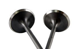 BLOX Racing High Compression Exhaust Valve Set for Honda F20C (set 0f 8)