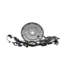 Load image into Gallery viewer, User 1