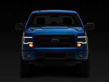 Load image into Gallery viewer, Photo - Close Up