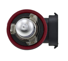 Load image into Gallery viewer, Photo - Close Up