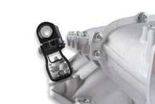 Load image into Gallery viewer, 300-621_08.jpg