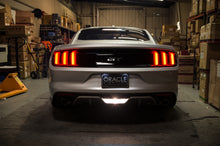 Load image into Gallery viewer, 3005-001_E.jpg
