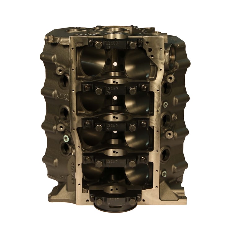 31394175-TOP.jpg