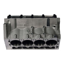 Load image into Gallery viewer, 31947211-WW1-RIT.jpg