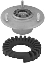 Load image into Gallery viewer, Photo - Primary