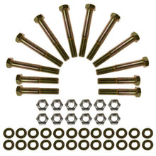 Load image into Gallery viewer, Photo - Primary