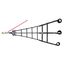 Load image into Gallery viewer, Photo - Primary