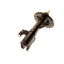 Load image into Gallery viewer, Photo - out of package