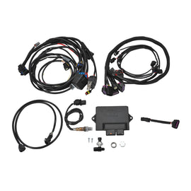 Edelbrock Chevy Gen III/IV LS Pro-Flo 4+ EFI Engine Management System