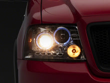 Load image into Gallery viewer, Photo - Primary