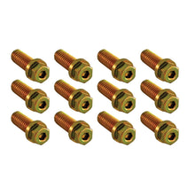 Load image into Gallery viewer, Photo - Primary