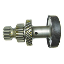 Load image into Gallery viewer, Photo - Primary