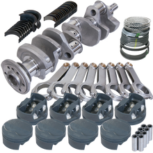 Load image into Gallery viewer, Photo - Primary