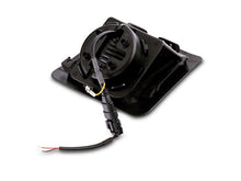 Load image into Gallery viewer, Photo - Close Up