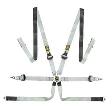 Load image into Gallery viewer, Photo - Primary