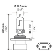 Load image into Gallery viewer, Technical Drawing
