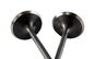 BLOX Racing High Compression Intake Valve Set for Honda F20C (set of 8)