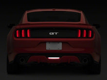 Load image into Gallery viewer, Photo - Close Up