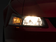 Load image into Gallery viewer, Photo - Primary