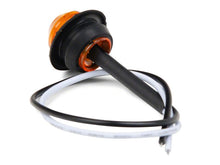 Load image into Gallery viewer, Photo - Close Up