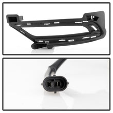 Load image into Gallery viewer, Photo - Unmounted