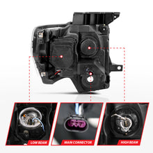 Load image into Gallery viewer, User 5