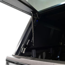 Load image into Gallery viewer, Photo - Mounted