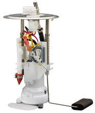 Load image into Gallery viewer, Photo - Primary