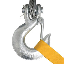 Load image into Gallery viewer, Photo - Close Up