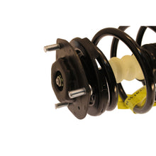 Load image into Gallery viewer, Photo - out of package