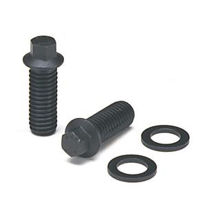 ARP 3/8in x 1.000 SS 12pt Header Bolt Kit
