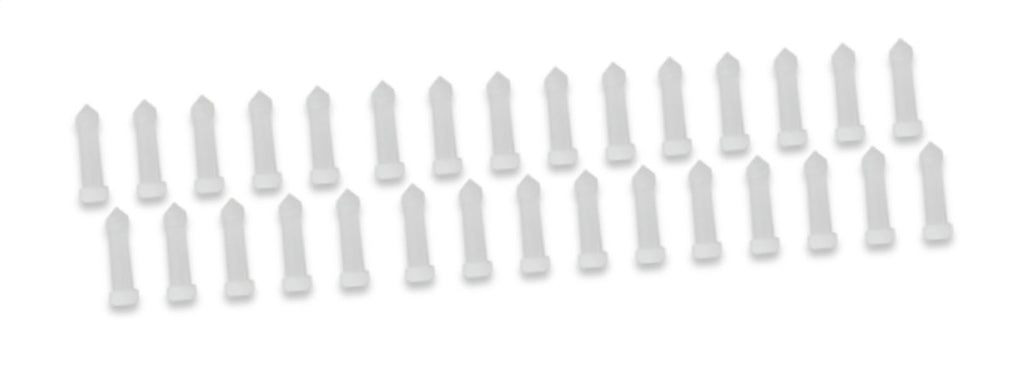 558-126_0418320.jpg