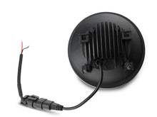 Load image into Gallery viewer, Photo - Close Up