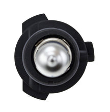 Load image into Gallery viewer, Photo - Unmounted