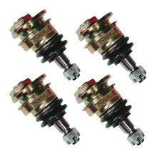 Load image into Gallery viewer, Photo - Primary