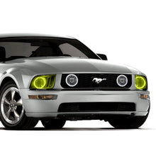 Load image into Gallery viewer, Photo - lifestyle view