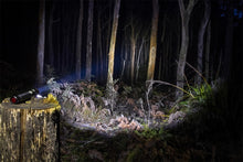 Load image into Gallery viewer, Photo - Primary