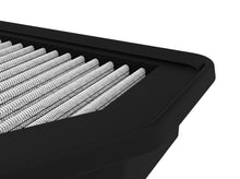 Load image into Gallery viewer, Photo - Close Up