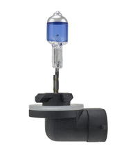 Load image into Gallery viewer, Photo - Close Up