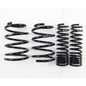 RS-R 08+ Mitsubishi Evolution X (CZ4A) Down Sus Springs