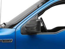 Load image into Gallery viewer, Photo - Close Up